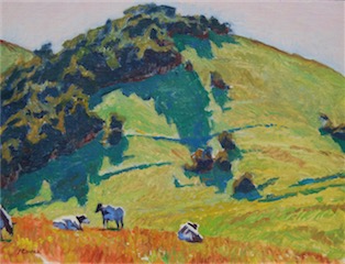 Shadows Near Nicasio, Marin 12x16